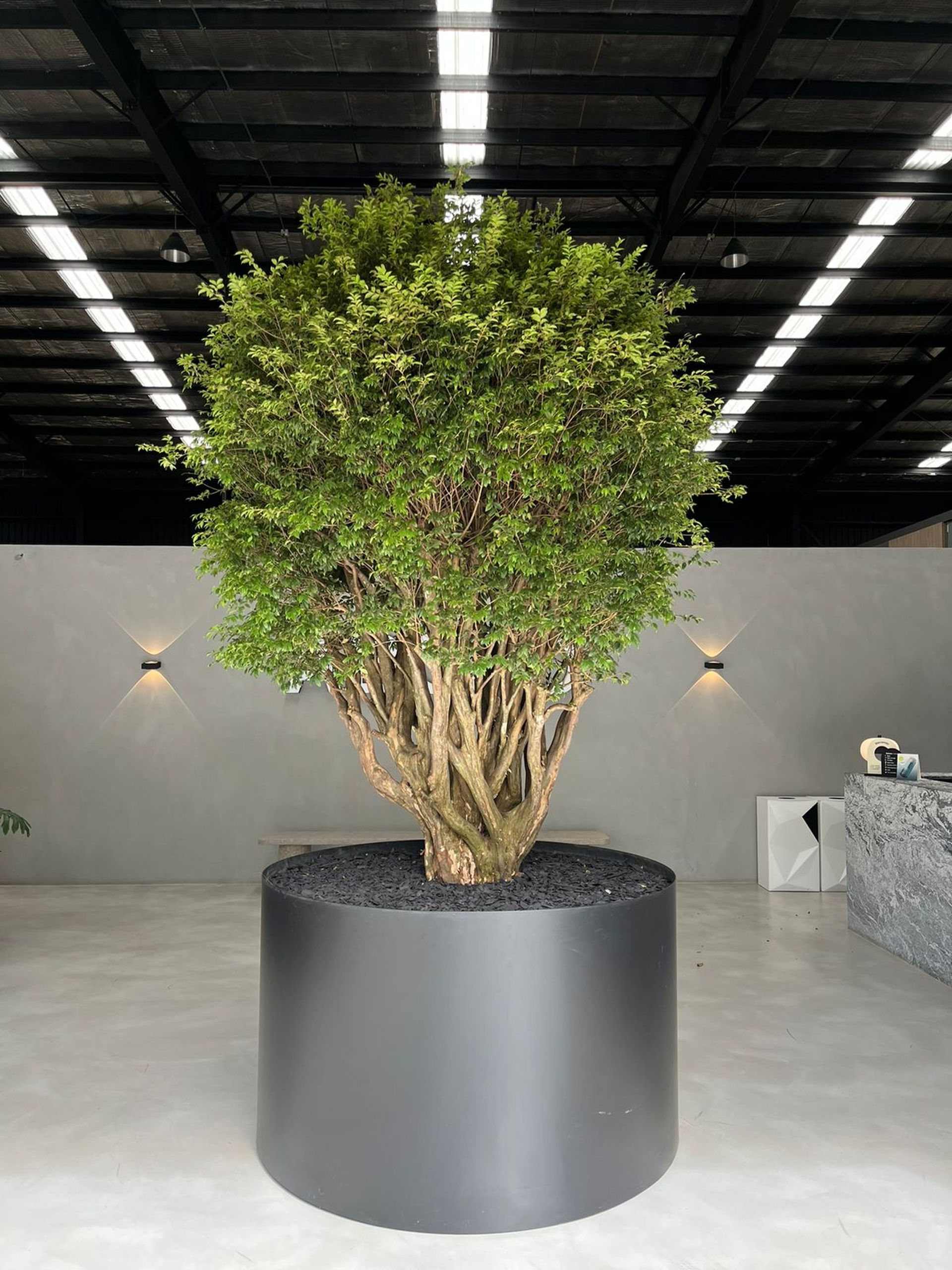 Arquitectura - Construcción - Interiorismo - Exteriorismo