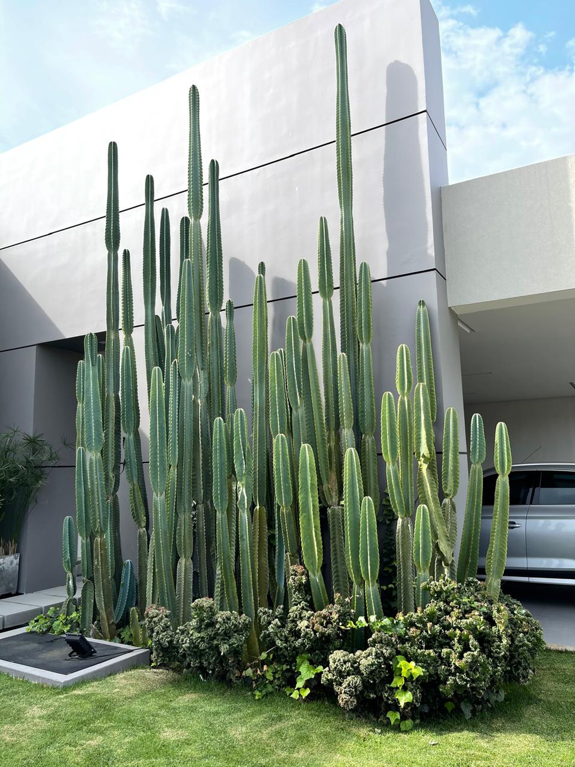 Diseño y conceptualización