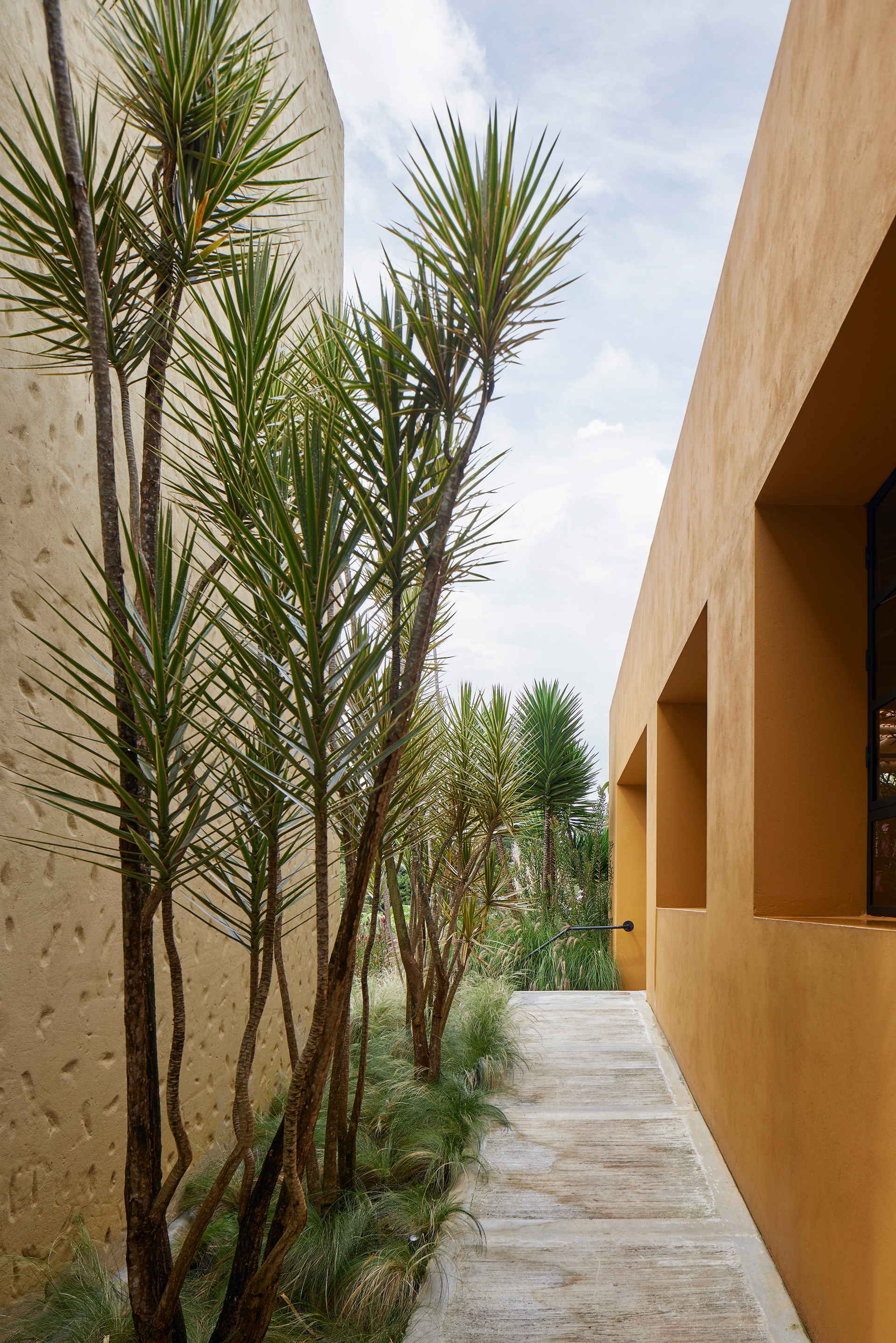 Armonía con el entorno