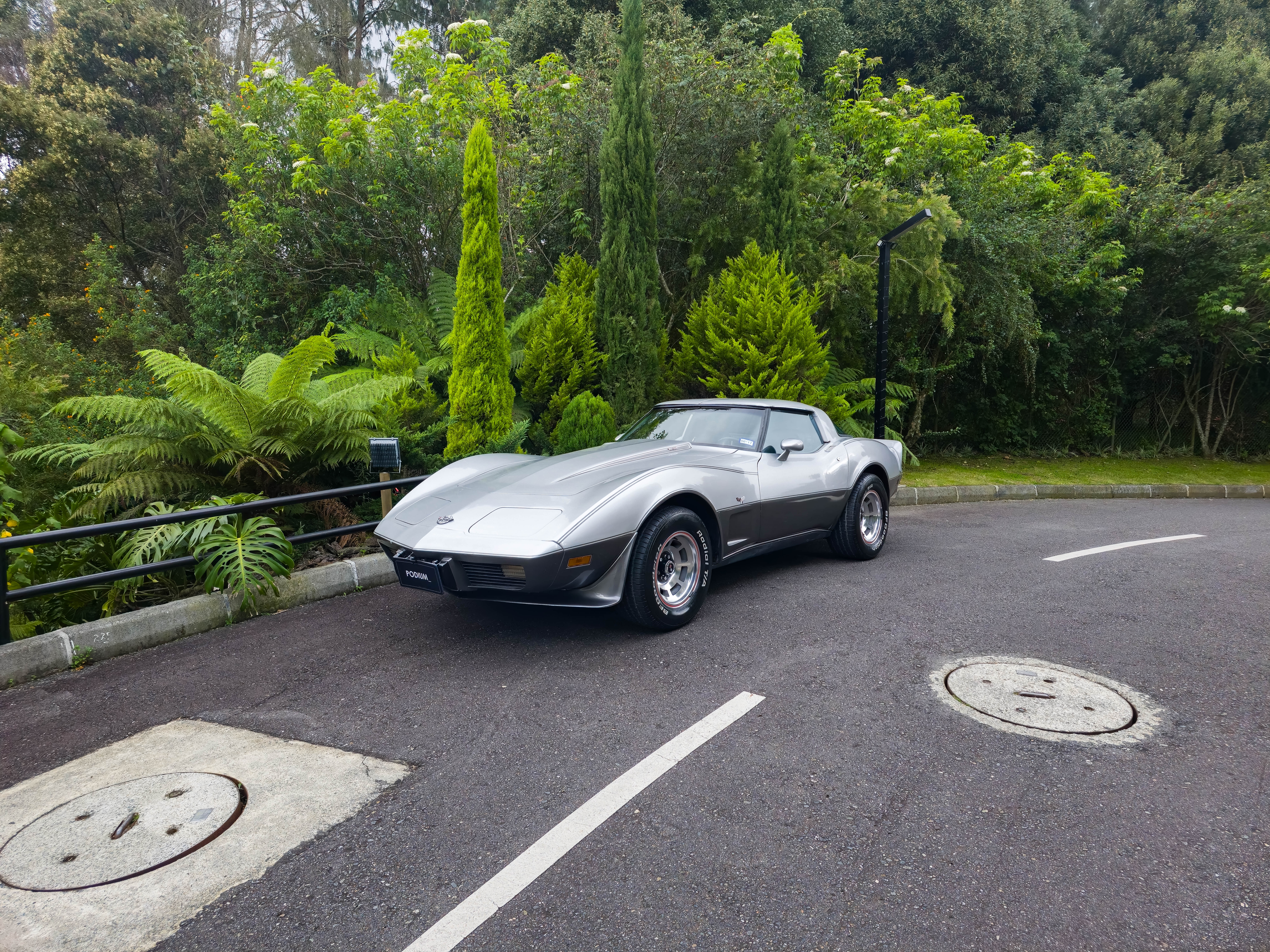 Chevrolet Corvette C3 1978