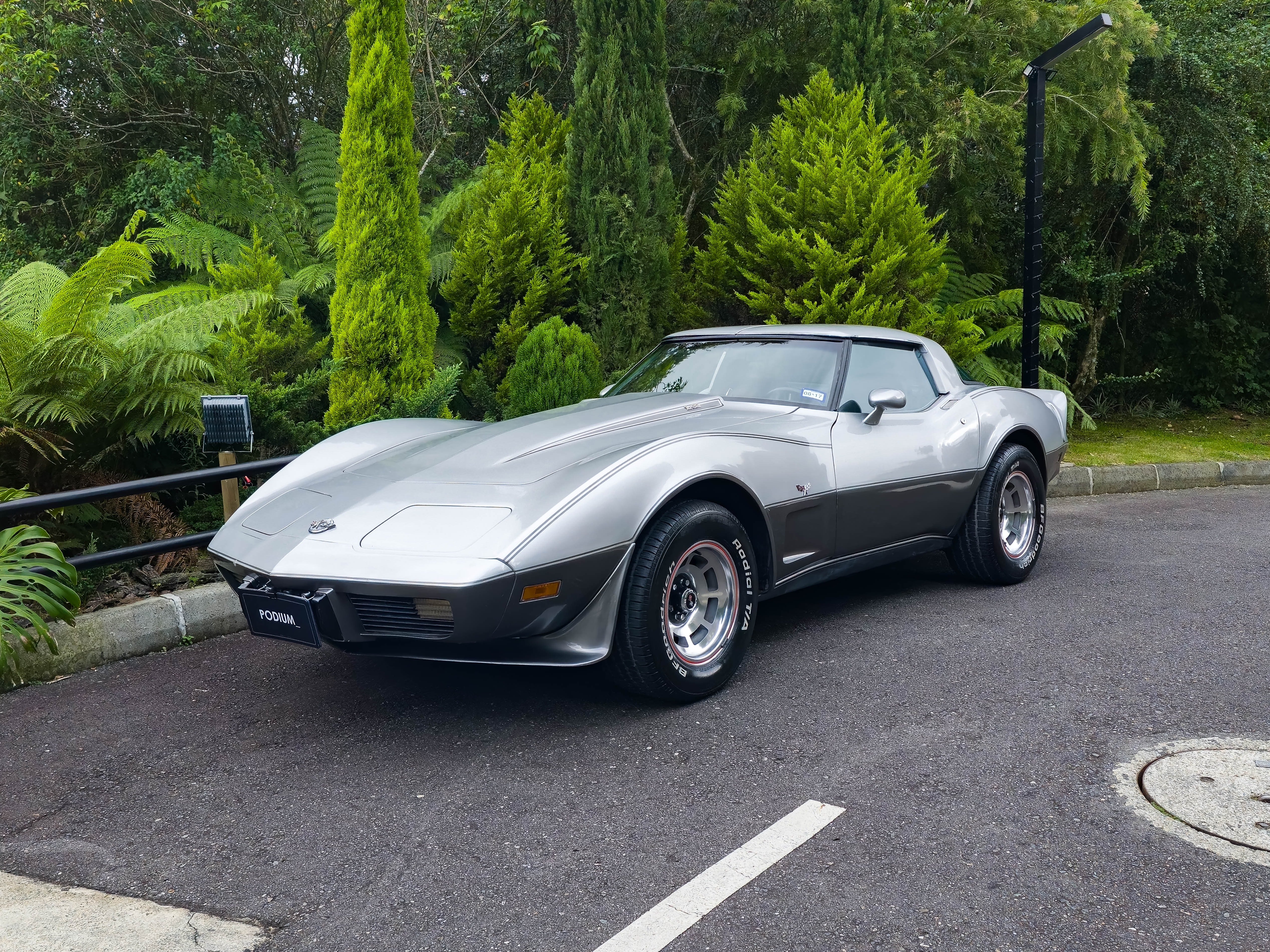Chevrolet Corvette C3 1978