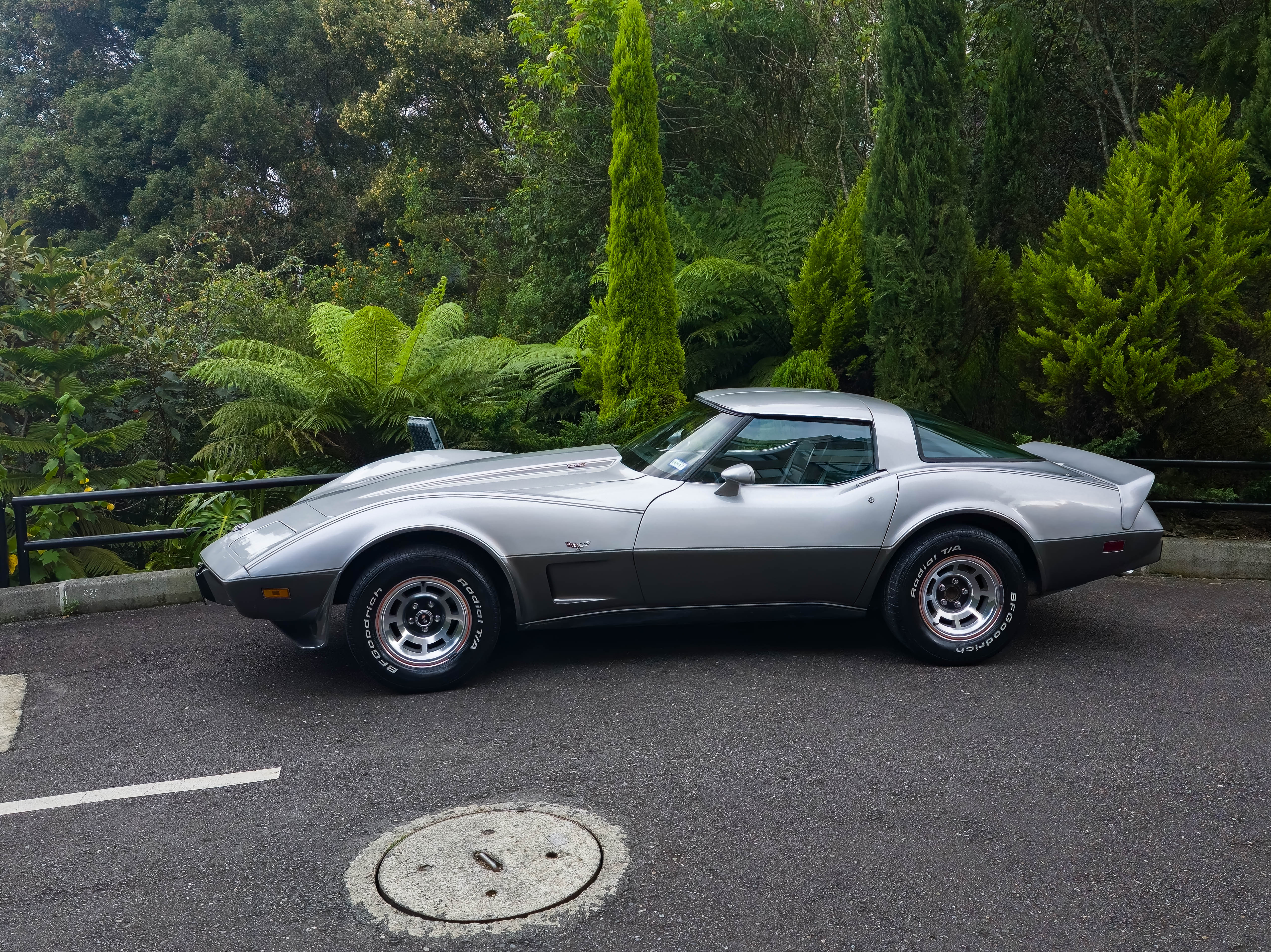 Chevrolet Corvette C3 1978