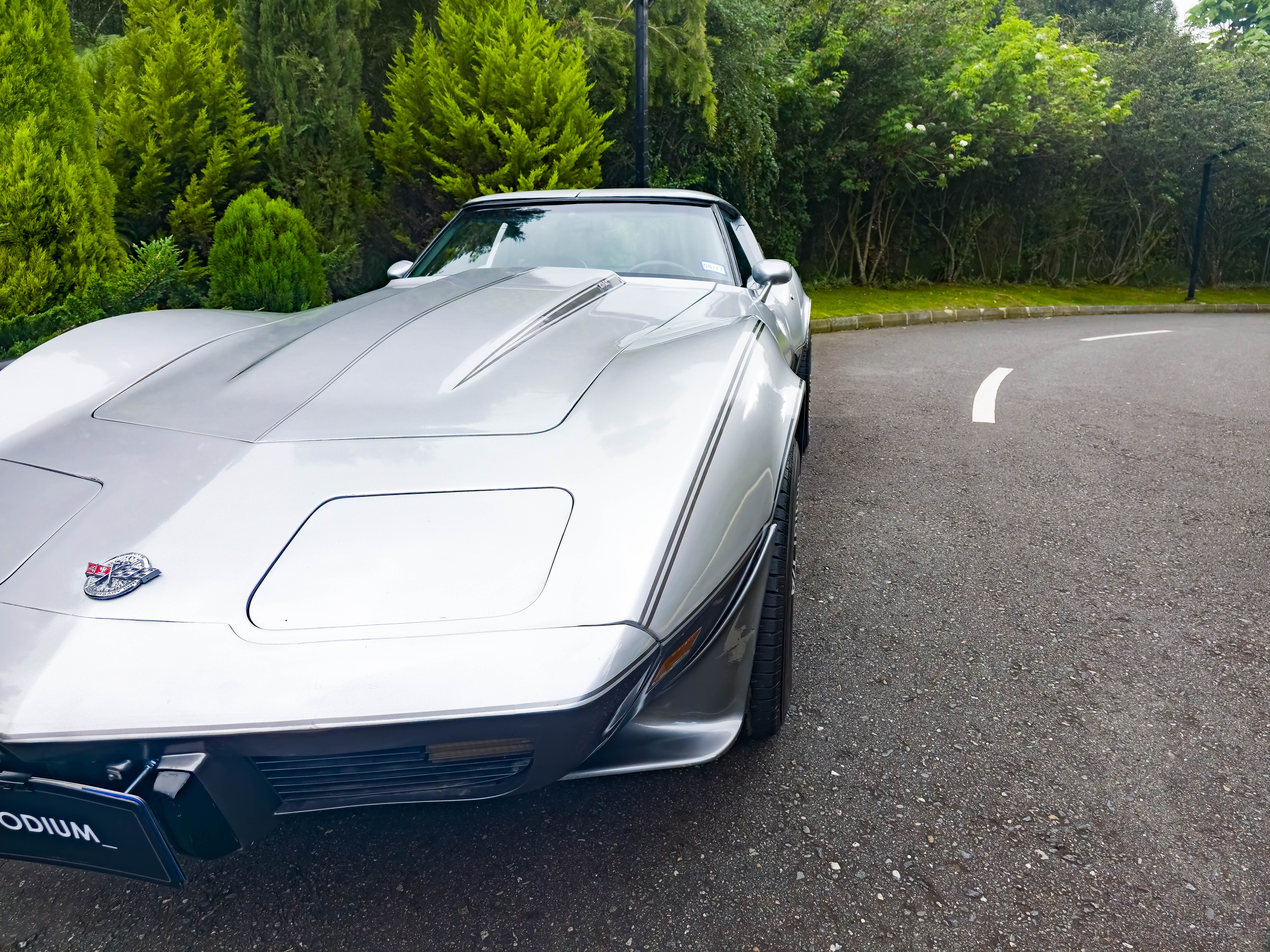 Chevrolet Corvette C3 1978