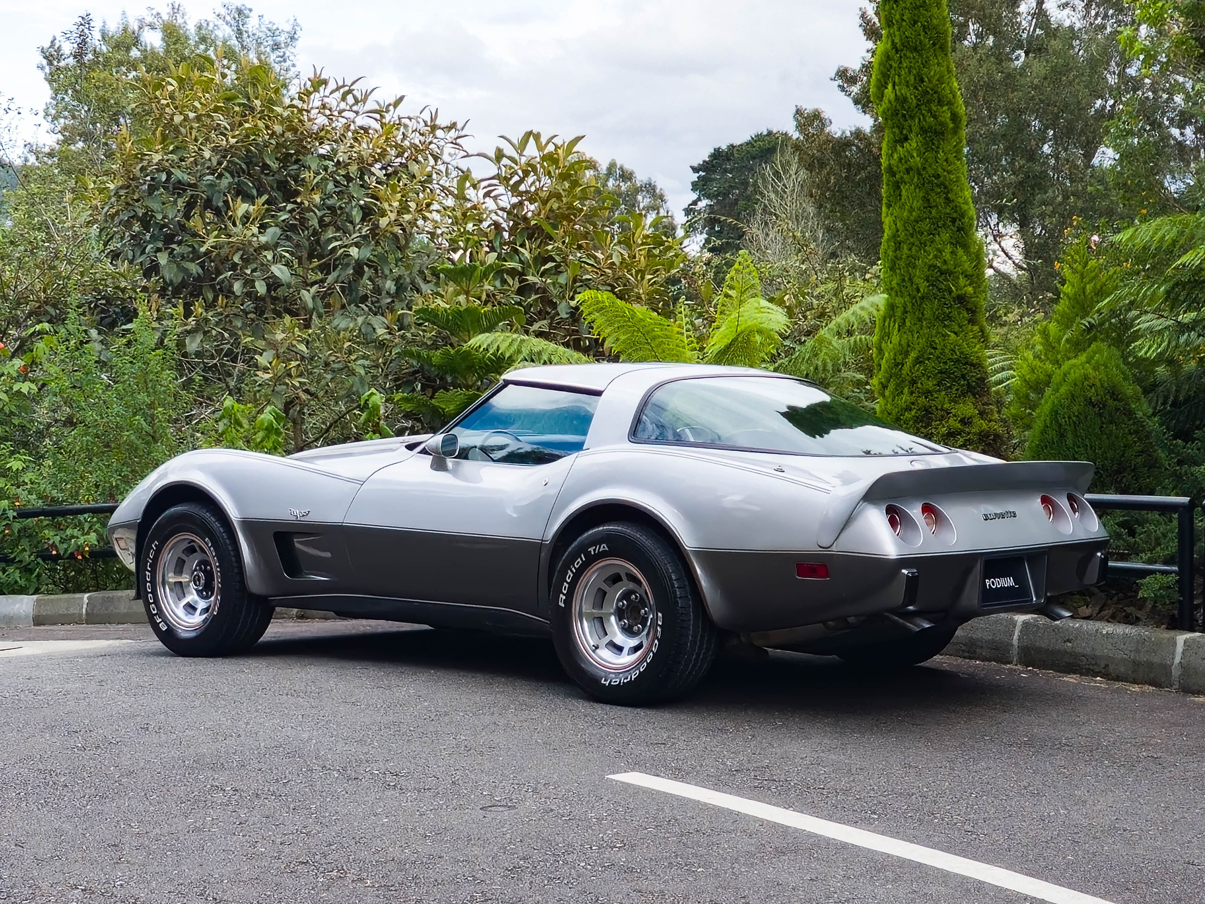 Chevrolet Corvette C3 1978
