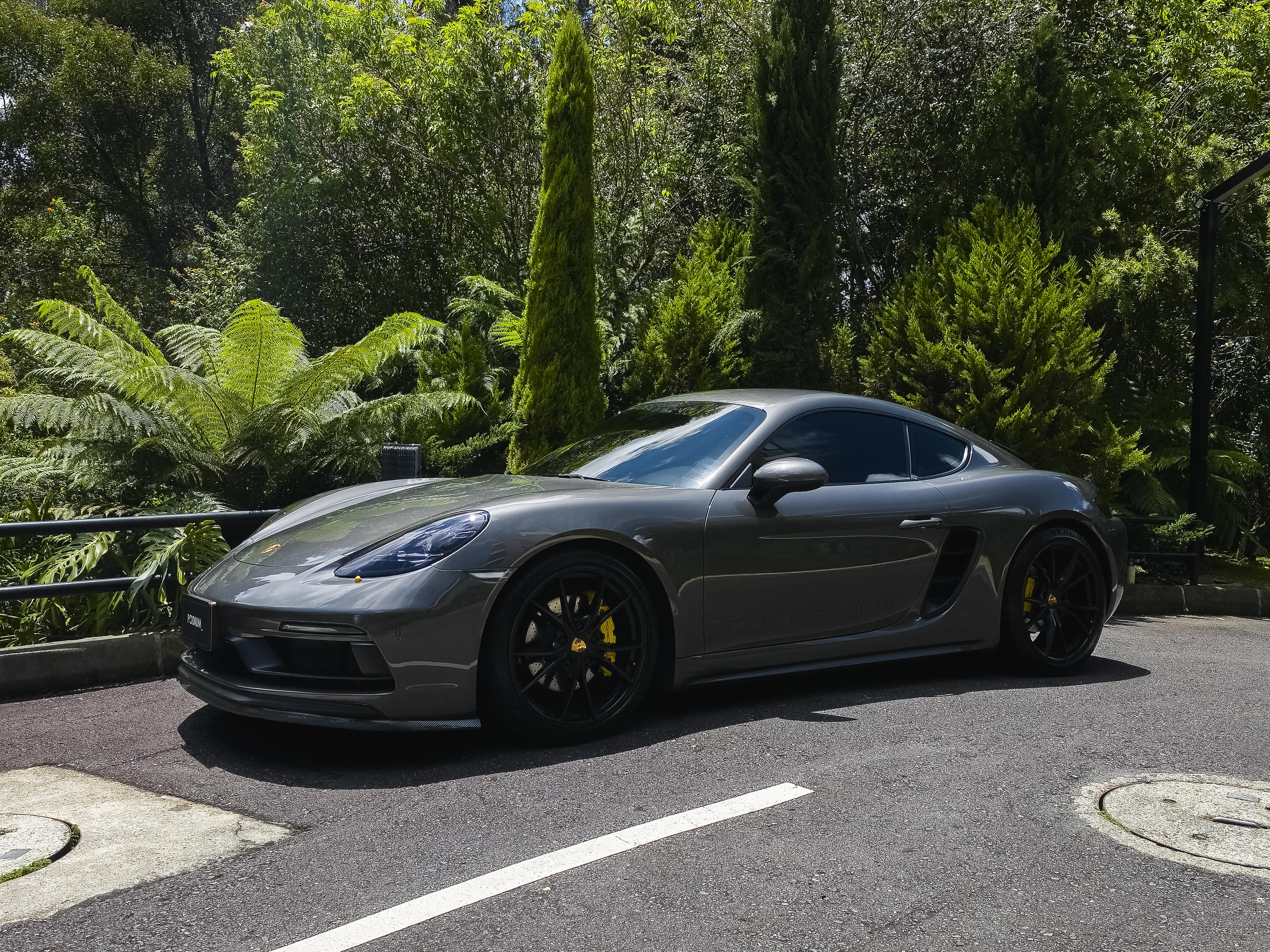 Porsche Porsche 718 2.5 Cayman Gts 2019