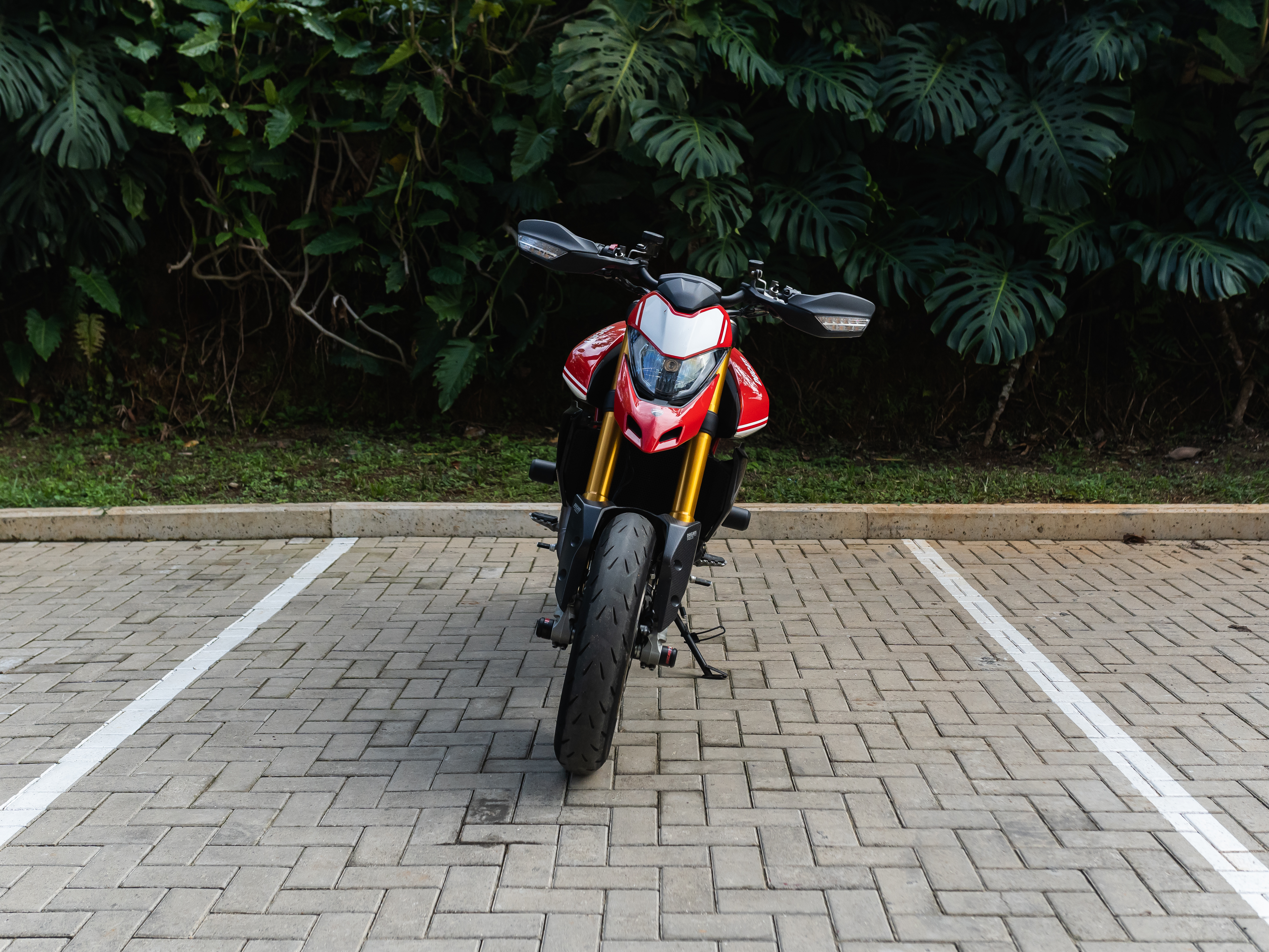 Ducati Hypermotard Sp 950 2019